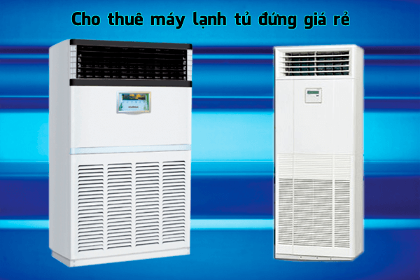 https://dienmayhoanggia.com.vn/dich-vu-cho-thue…en-may-hoang-gia/