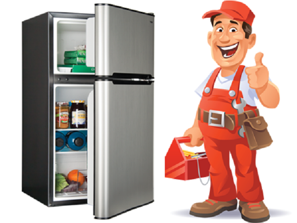 A picture containing refrigerator, standing Description automatically generated